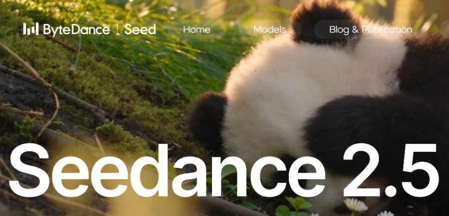 Seendance 2.5